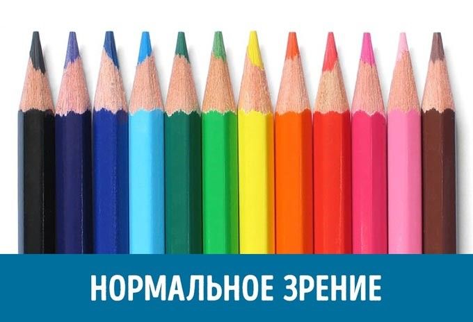 нормальный трихромат